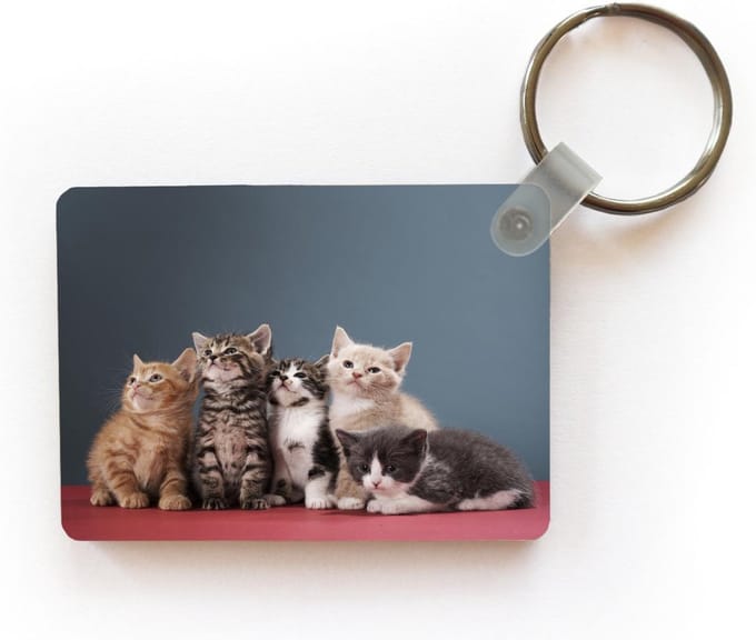 Sleutelhanger - Kittens - Blauw - Roze - Meisjes - Kinderen - Jongens - Kind - Uitdeelcadeautjes - Plastic