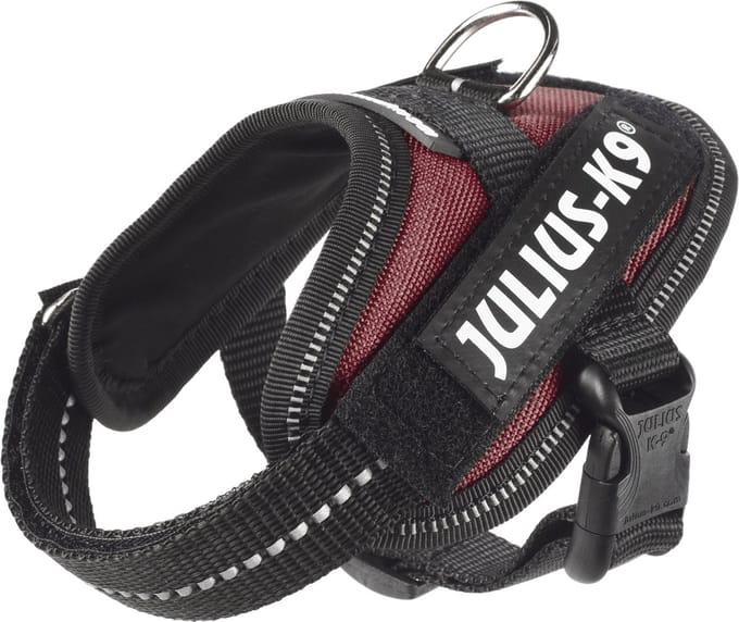 Julius-K9 IDC®Powertuig, 3XS - Baby1, claret bruin