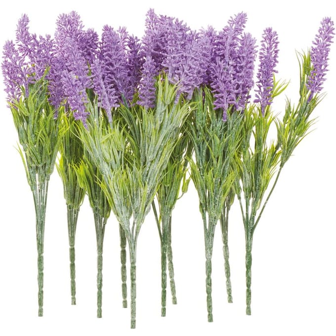 VBS Lavendel pluk "Lavendula", 10 stuks