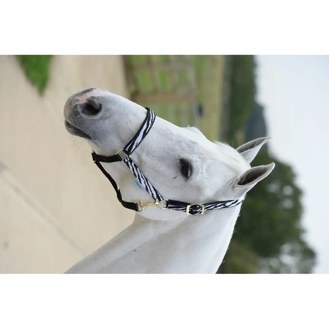 Bucas Halster Dublin Zebra - extra Groot