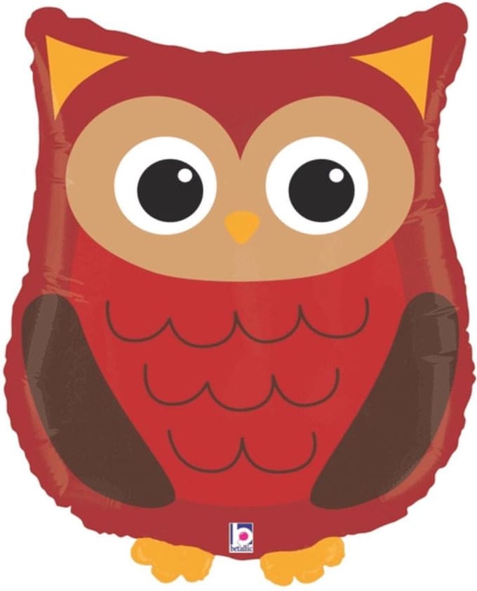 Folie ballon Uil/Owl - 66cm