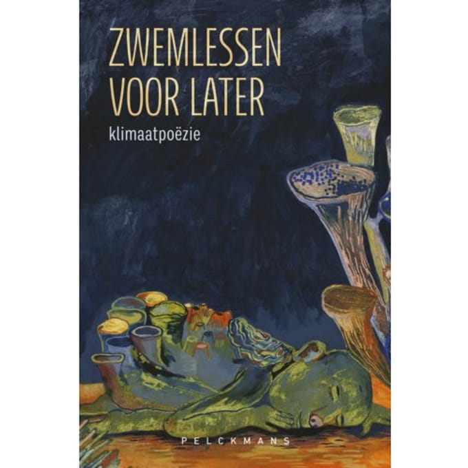 Zwemlessen Voor Later