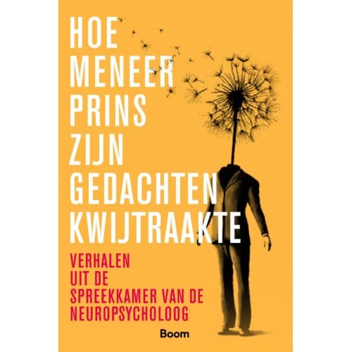 Hoe Meneer Prins Zijn Gedachten Kwijtraakte - Helen Anema