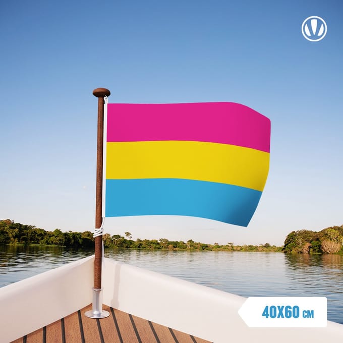 Panseksuele vlag 40x60cm