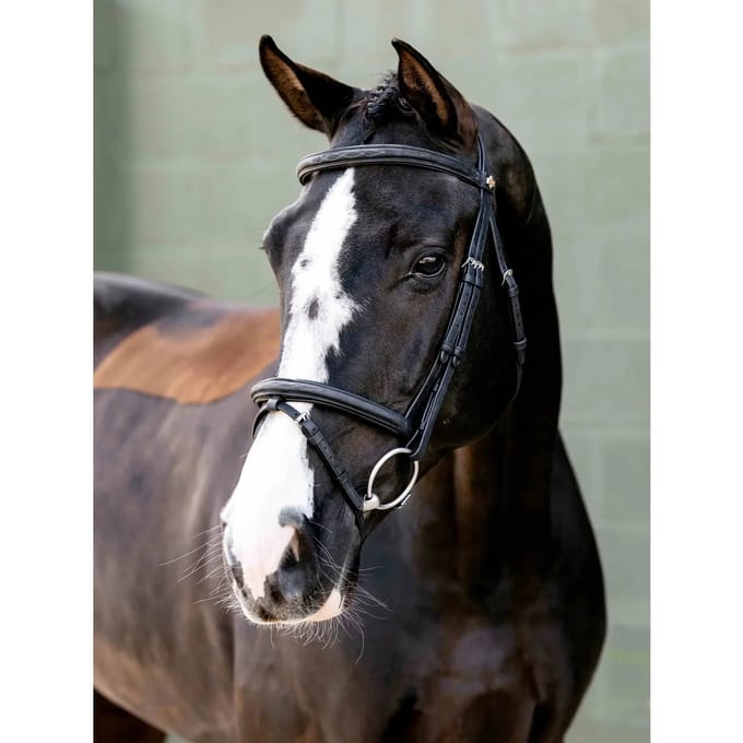 Hoofdstellen voor paarden LeMieux Flash Arika