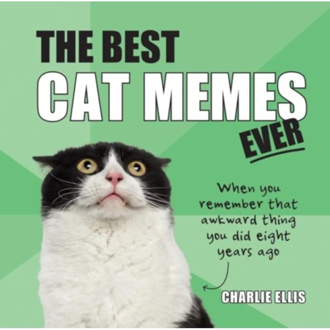 The Best Cat Memes Ever - Charlie Ellis