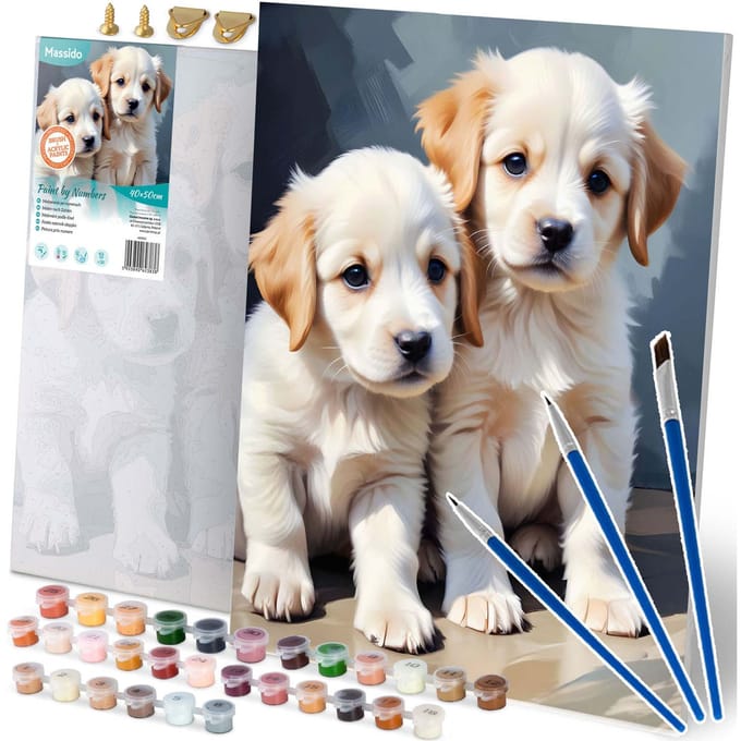 Schilderen op nummer 40x50 cm Massido Puppies