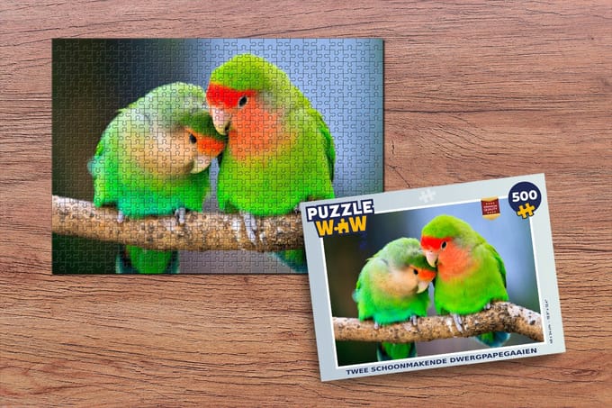 Puzzel Twee schoonmakende dwergpapegaaien - Legpuzzel - Puzzel 500 stukjes