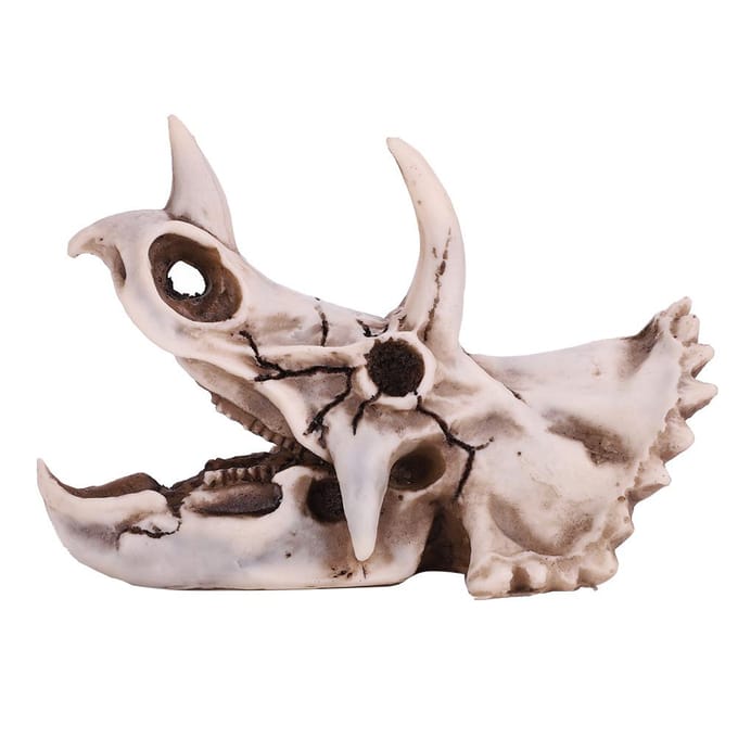 Crâne de dinosaure tricératops en résine, modèle de squelette simulé, décoration pour la maison ou le bureau gray