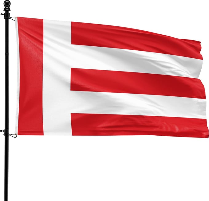 VlagDirect - Eindhoven vlag - Gemeente Eindhoven vlag - 90 x 150 cm.