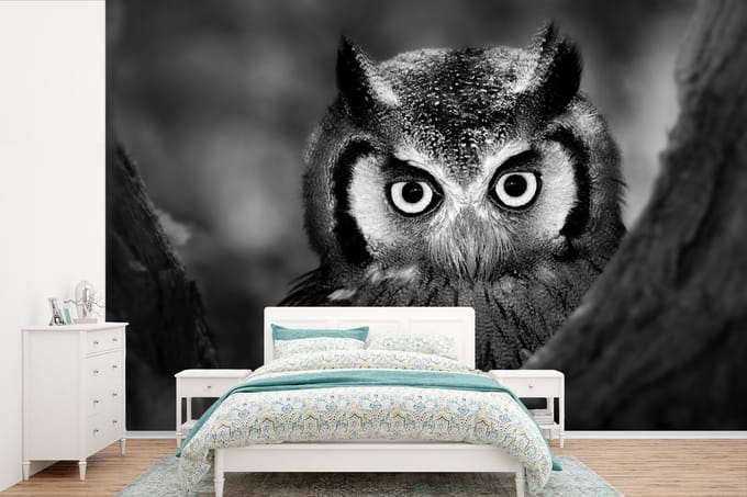 Behang - Fotobehang Vogel - Uil - Portret- Zwart - Wit - Breedte 360 cm x hoogte 240 cm