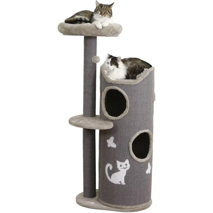 Kattenboom Kerbl Tiana