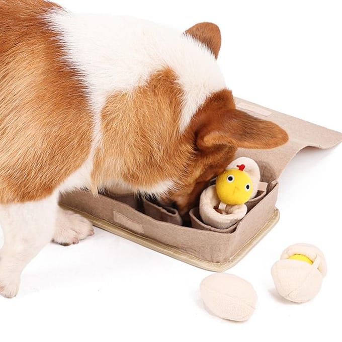 [Mords-moi] Manuel de jeu Woof Scout Nosework 1EA beige