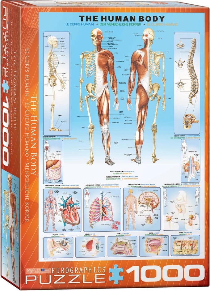 Eurographics - Het Menselijk Lichaam [The Human Body] - 1000 stukjes 48×68cm (b×h) - Legpuzzel