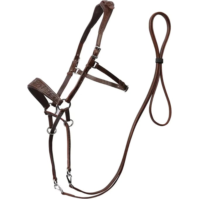 Bitloze hoofdstellen voor paarden Edix Saddles ED1-Rose
