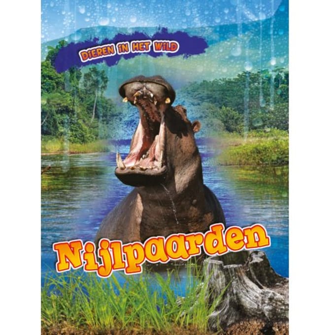 Nijlpaarden - Dieren In Het Wild - Rachel Koestler-Grack