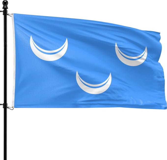 VlagDirect - Wassenaar vlag - Gemeente Wassenaar vlag - 90 x 150 cm.