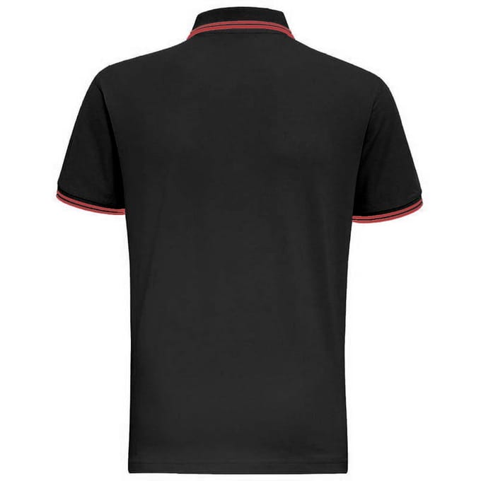 Asquith & Fox Heren Klassiek Fit getipt Poloshirt (Houtskool/Wit)