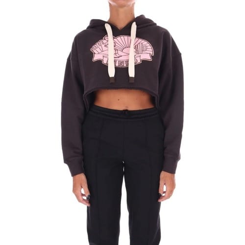 Capuchon sweaters Pinko 104112A25T
