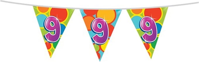 Haza Vlaggetjes - 9 jaar - leeftijd verjaardag - plastic - 10 meter