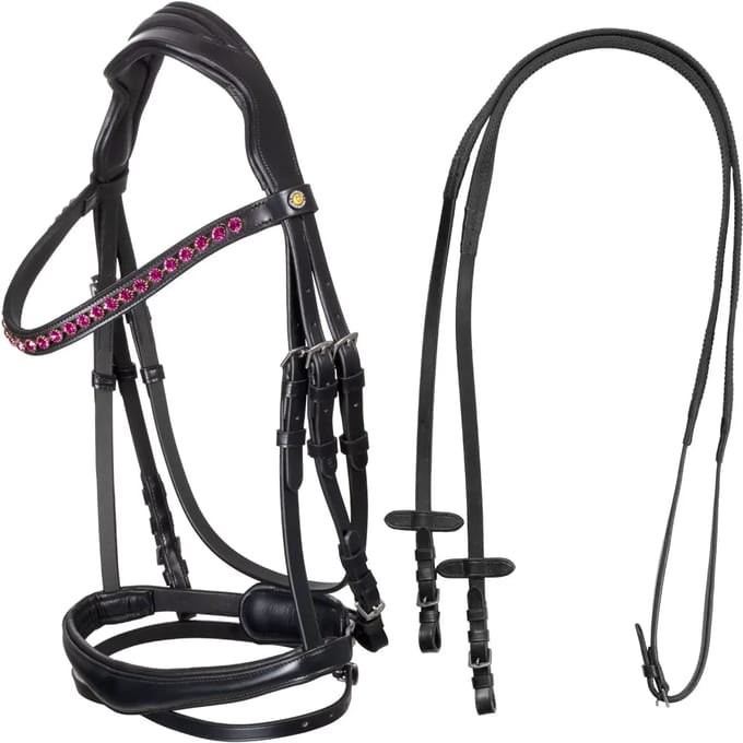 Anatomisch hoofdstel Equestro
