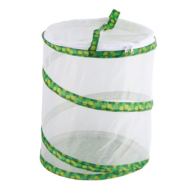 Net Insect Vlinder Habitat Kooi Inklapbare Insecten Huisvesting Behuizing Kweekkooien white