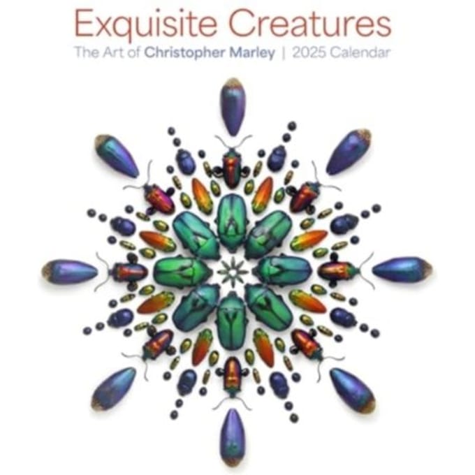 Exquisite Creatures - Marley, Christopher