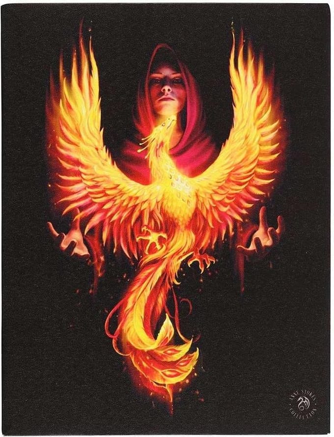 Anne Stokes -Canvas afbeelding 19 x 25cm Phoenix Rising Multicolours
