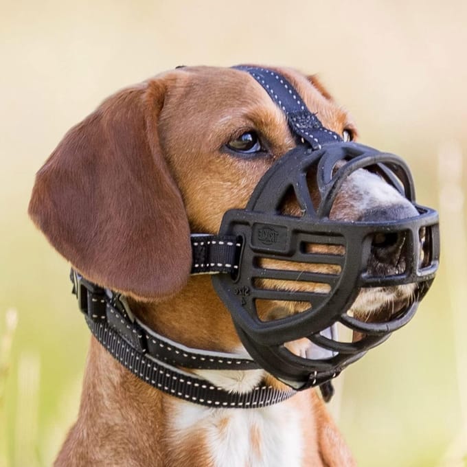 Hond Muilkorf - Flexibel Comfort - Veilig Trainen - Ergonomische Pasvorm - Large-XL - Zwart