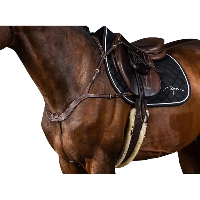 Anatomische jachthalsband voor paarden Dy'on