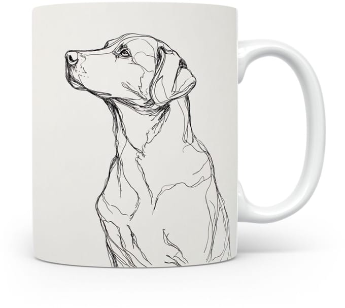 Beker Labrador Retriever