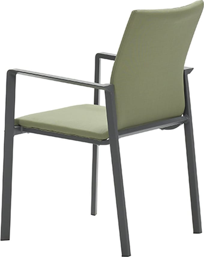 Dallas dining fauteuil stoel carbon black/moss green Garden Impress...