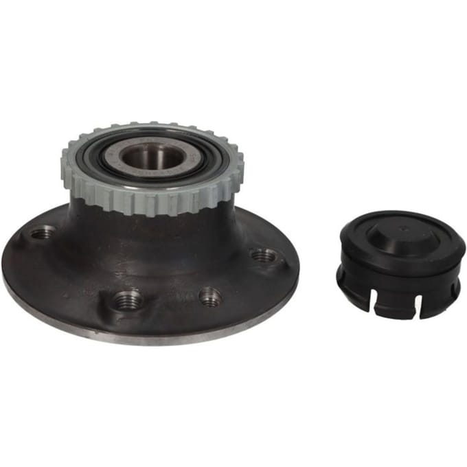 Wiellagerset SNR R155.60