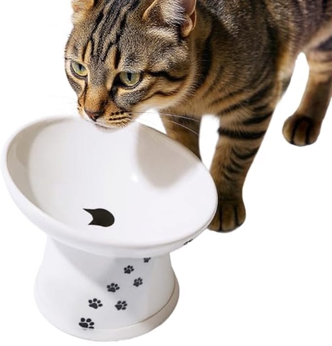 Verhoogde Kantelbare Kattenvoerbak voor Comfortabel Eten