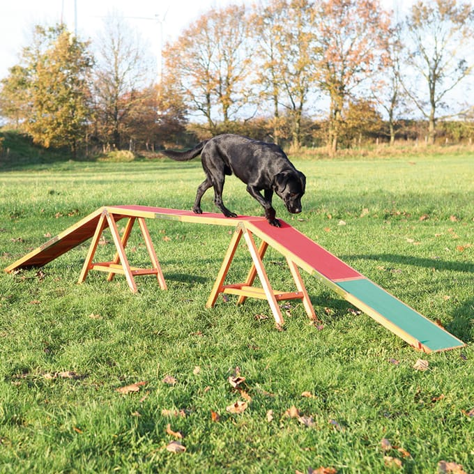 Trixie Loopplank Dog Activity Agility L456 x B30 x H64 cm