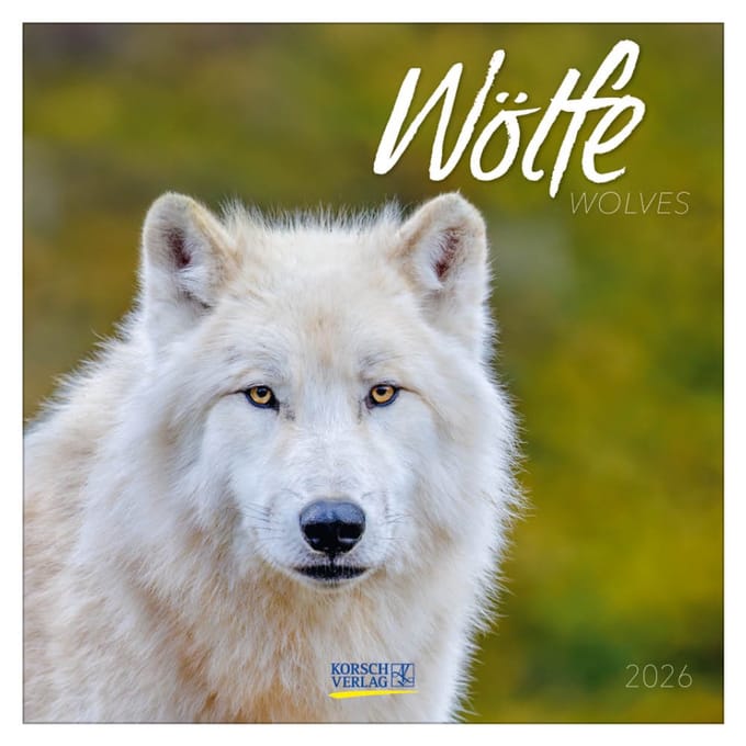 Wolves kalender - 2026