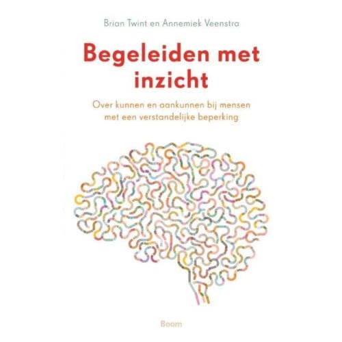 Begeleiden Met Inzicht - Brian Twint