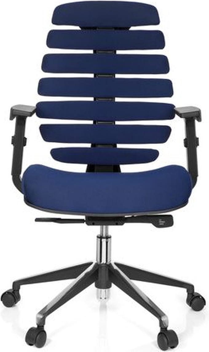 Ergonomische bureaustoel 101 model Ruggengraatstoel in Blauw