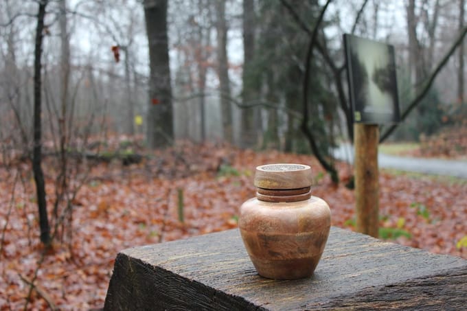 Mangohouten urn de Leyzing
