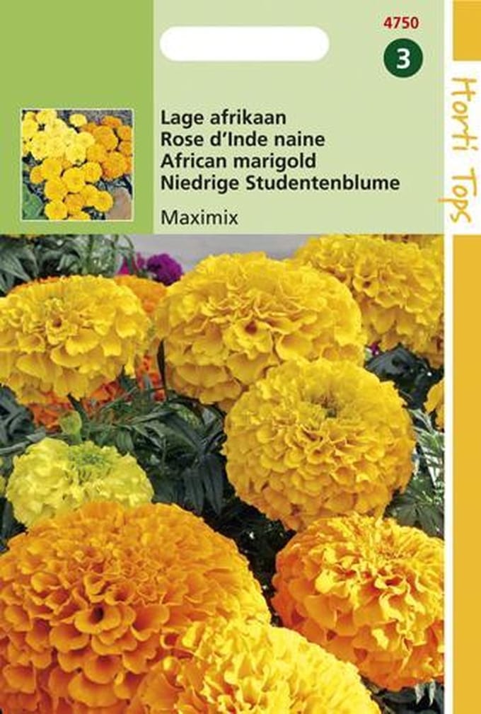 Hortitops Zaden - Tagetes Erecta Nana Maximix Mengsel