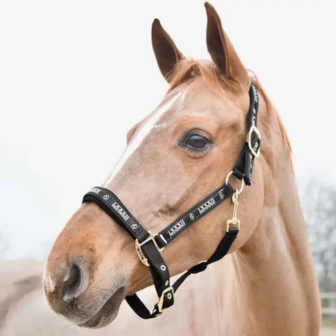 Halster voor paarden Horze Hamptons