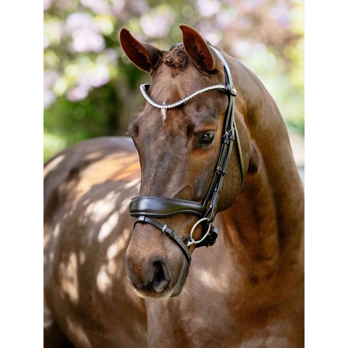 Anatomische paardenruiters biedingen LeMieux