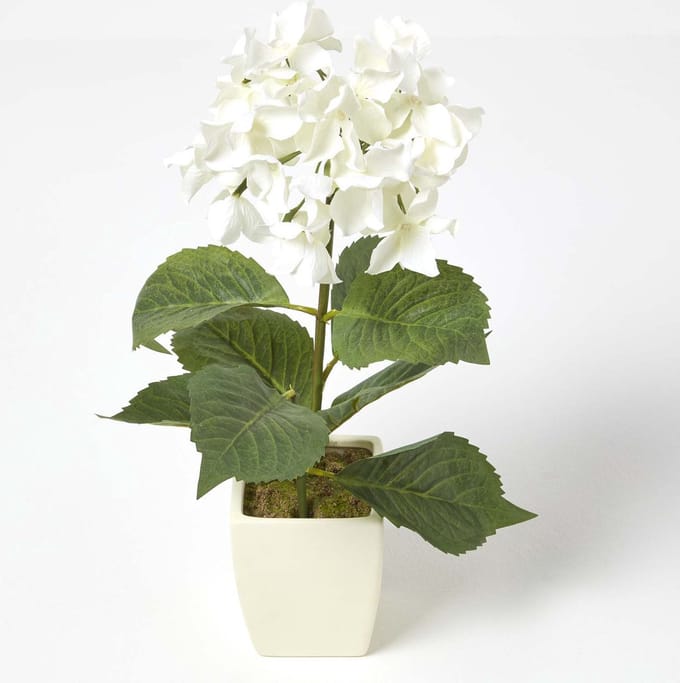 Homescapes Kunsthortensia's in witte pot, crème