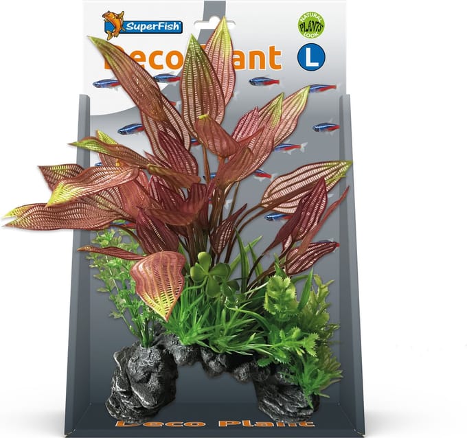 Superfish Deco Plant L Henkelianus