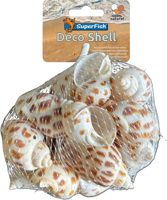 SuperFish Deco schelp slak bruin-wit | natuurlijke schuilschelpen | 200 gram