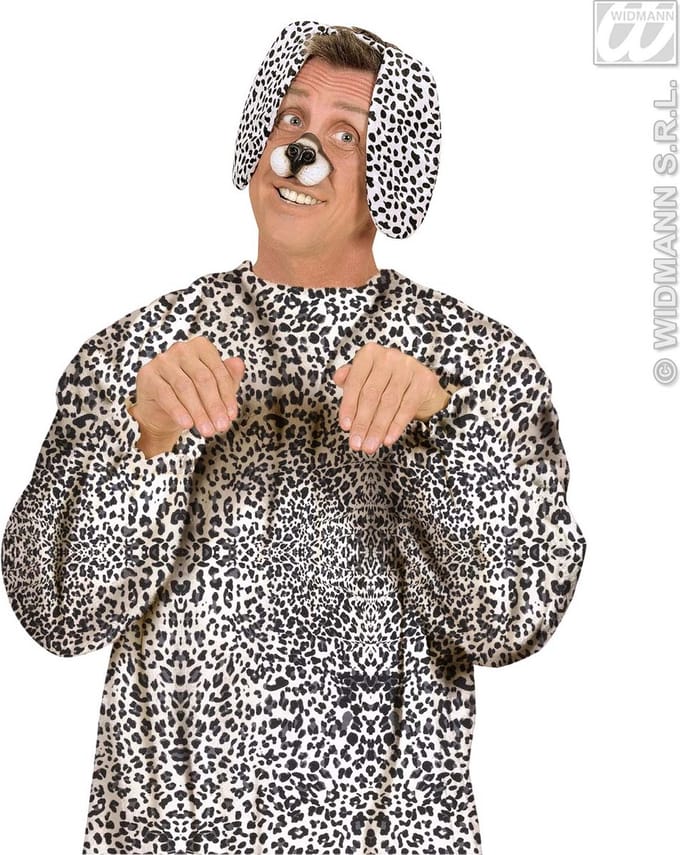 Oren dalmatiër