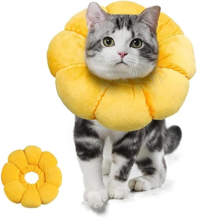 Herstelhalsband voor katten - Zonnebloem patroon (M) 1 stuk