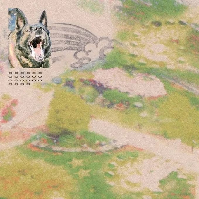 Feeble Little Horse - Girl With Fish (CD)