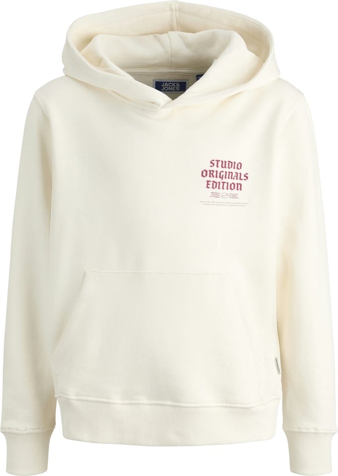 JACK&JONES - JORMEADOWS SWEAT HOOD JNR - Jongens - Sweaters