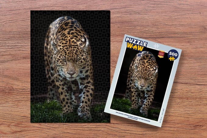 Puzzel Jaguar - Zwart - Gras - Legpuzzel - Puzzel 500 stukjes